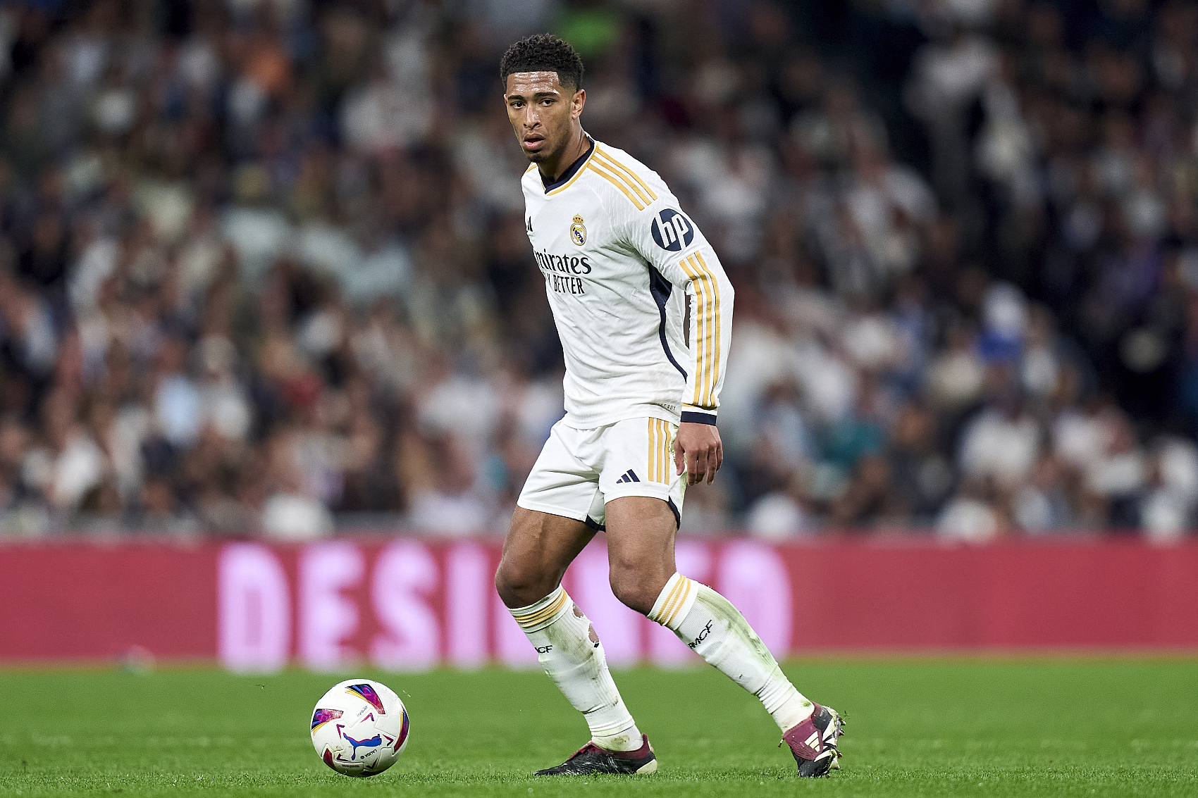 球迷的期待 球迷的期待